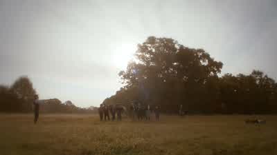 Is that it? - The Originals