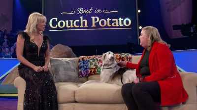 Is that, like, her favorite
thing to do all day, or she -- - 2022 American Rescue Dog Show