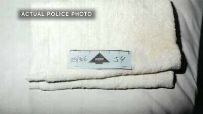 Is this the blood
of the killer? - New York Homicide