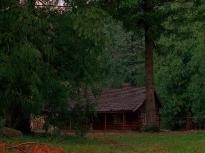 Is that the cabin we're looking for? - Twin Peaks