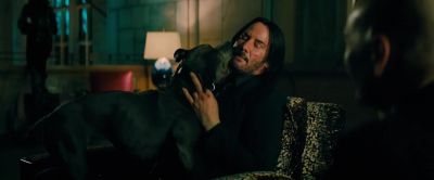 Is that the dog - John Wick: Chapter 3   Parabellum