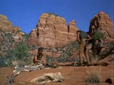 Is it the hunter you fear? - Apache