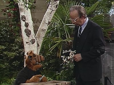          Is this the wreath
         you were talking about? - ALF