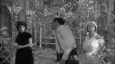 Is there a carnival or
a circus in the county? - The Fugitive Kind
