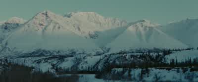 Is there anybody here? - Into the Wild