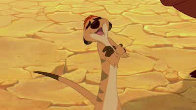 Come on Timon Anything we can doNot unless you can change the past - The Lion King