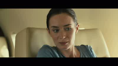 Is there anything I should know? - Sicario
