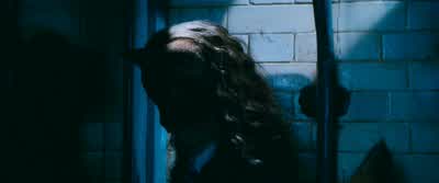 Is there something you wish to tell me - Harry Potter and the Chamber of Secrets