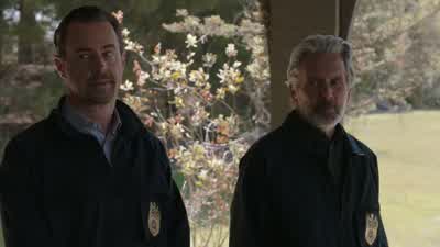 Is this a great job or what? - NCIS