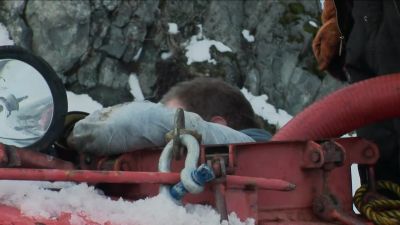 IS THIS HOW I LOOK -- - Dirty Jobs