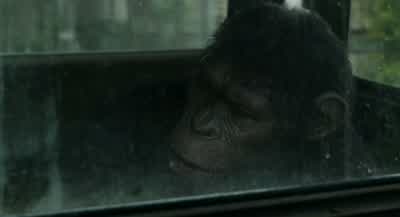 Is this it? - Dawn of the Planet of the Apes
