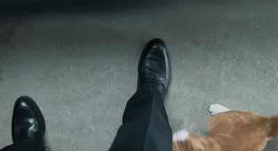 - Is this your cat? - Men in Black