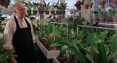 Is this what the epiphytics root in? - In the Heat of the Night