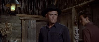 Is that what you want - The Magnificent Seven