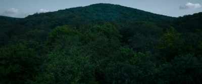 Ish! I will die,
and so will our baby, - The Strangers: Chapter 1