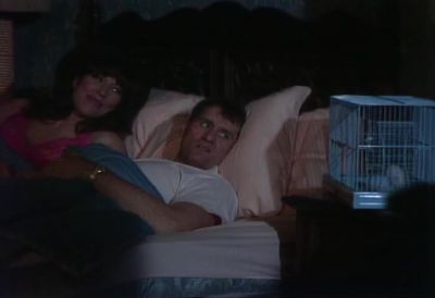 Isn't that cute, al? - Married... with Children