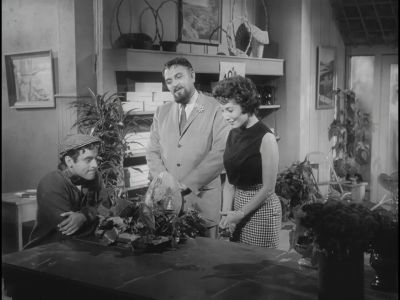 Isn't it empirical - The Little Shop of Horrors