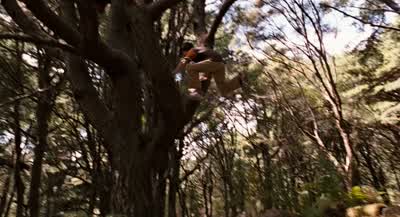 Isn't this cool? - Bridge to Terabithia