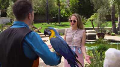 Isn't it wild that we were both macaws
in another life? - Cheaper by the Dozen