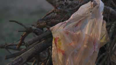 IT A BAG BACK BEHIND THE HEAD, - Bloodlands