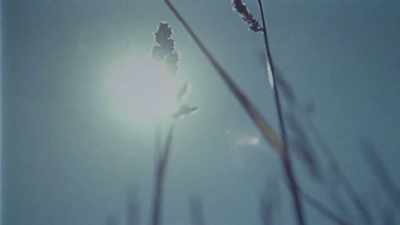 It was a beautiful day,
and I thought: "Let's do it." - Ken and Barbie Killers: The Lost Murder Tapes