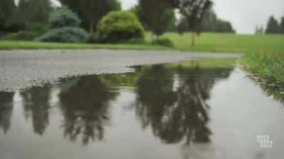  - It was a cold, overcast day. - Rifkin on Rifkin: Private Confessions of a Serial Killer