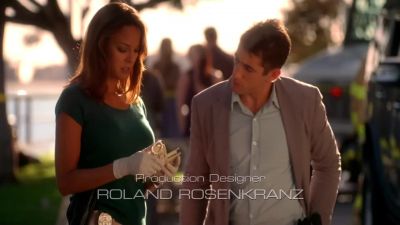 It was a crime of passion. - CSI: Miami