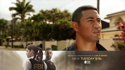 It was a drunk driver. - Hawaii Five-0