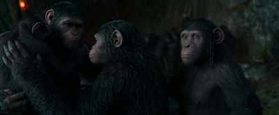 -It was a long journey.
-Father, we found something! - War for the Planet of the Apes