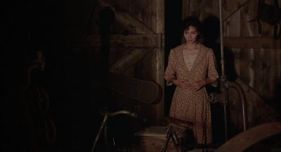 It was a perfect moonlit summer night - A Midsummer Night's Sex Comedy