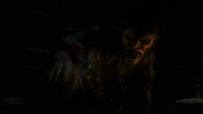 It is a shield
that he's tied off, - The Wheel of Time
