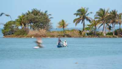It was a small
but significant victory, - Eva Longoria: Searching for Mexico