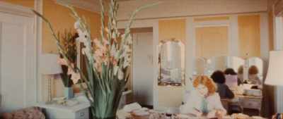 It was a small one-bedroom,
and she used the front room - The Disappearance of Shere Hite