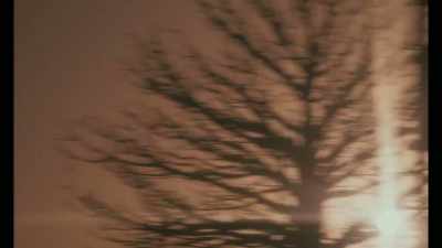 It has a velvet texture,
somnambulant. - The Story of Film: A New Generation
