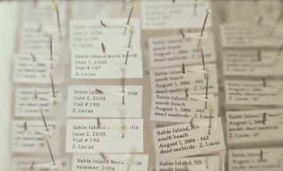 It is a wealth of specimens,
but also a high number - Geographies of Solitude