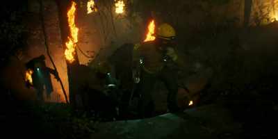 - It was a wolf.
- It wasn't a fucking wolf. - Wolf Pack