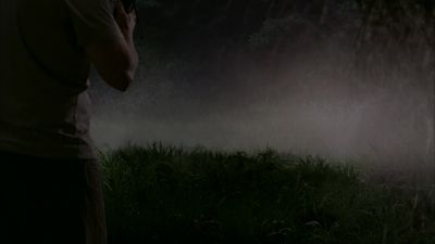 It is about to get very dangerous - Lady in the Water