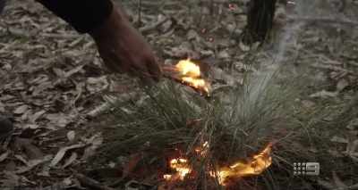 It is about the right fire
for the right time, - A Fire Inside