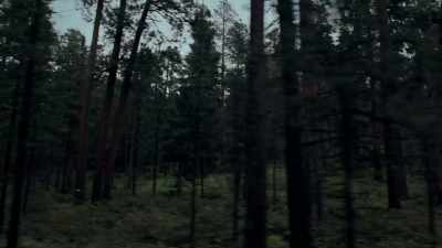 It was all brushy
and secluded. - Lost Women of Highway 20