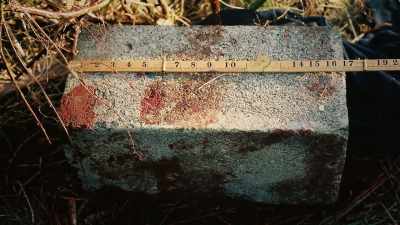 It all transpired 'twas hers, - Sophie: A Murder in West Cork