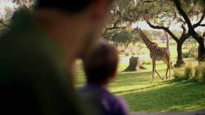 It allows people
to understand the animals, - One Day at Disney