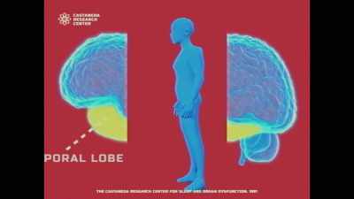 It allows us to enter
a subject's temporal lobe, - The Edge of Sleep