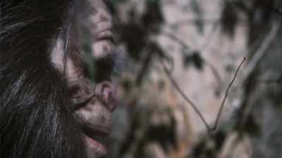 It was almost like a moment
in time. It was very strange. - Secrets of the Sasquatch