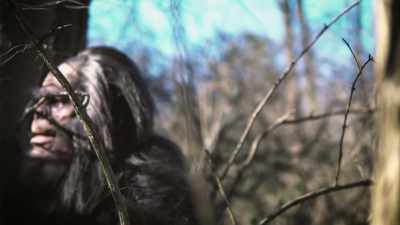 It was almost like
I was seeing... - Secrets of the Sasquatch