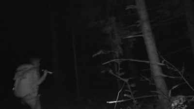  It almost looks like
 it could be eyeshine. - Expedition Bigfoot