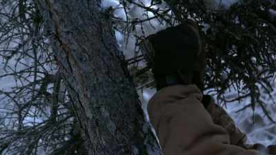 It almost single handedly
developed Alaska and made - Life Below Zero: Next Generation