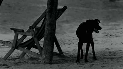 It was already
beginning to get dark. - The Last Narc