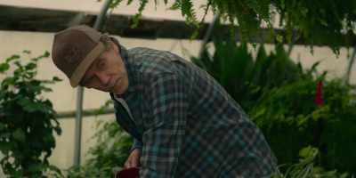 It also happens to be a more
drought-resistant variety. - Space Oddity