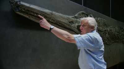 It also had rows of sharp teeth - Attenborough and the Sea Dragon