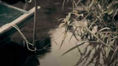 IT ALWAYS ATTACKS CHILDREN
IN THE SAME STRETCH OF WATER. - Expedition Mungo